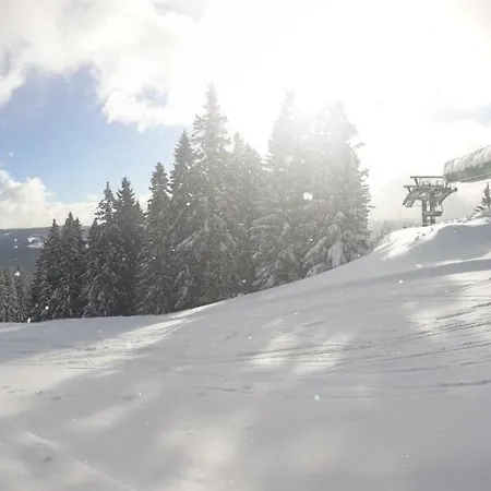 Genussgasthof Willenshofer Sankt Kathrein am Hauenstein